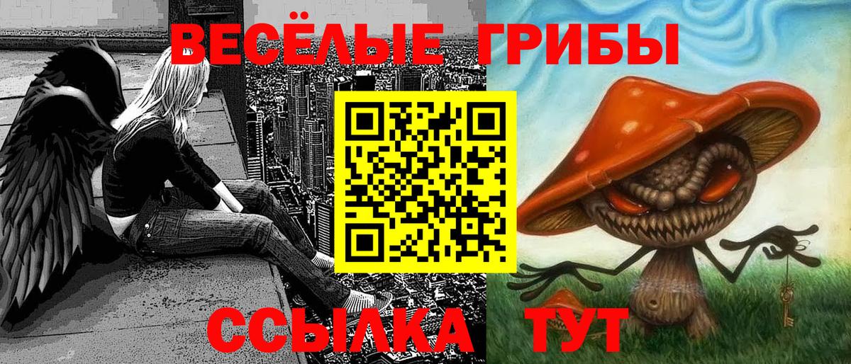 Галлюциногенные грибы ЛСД Гагарин