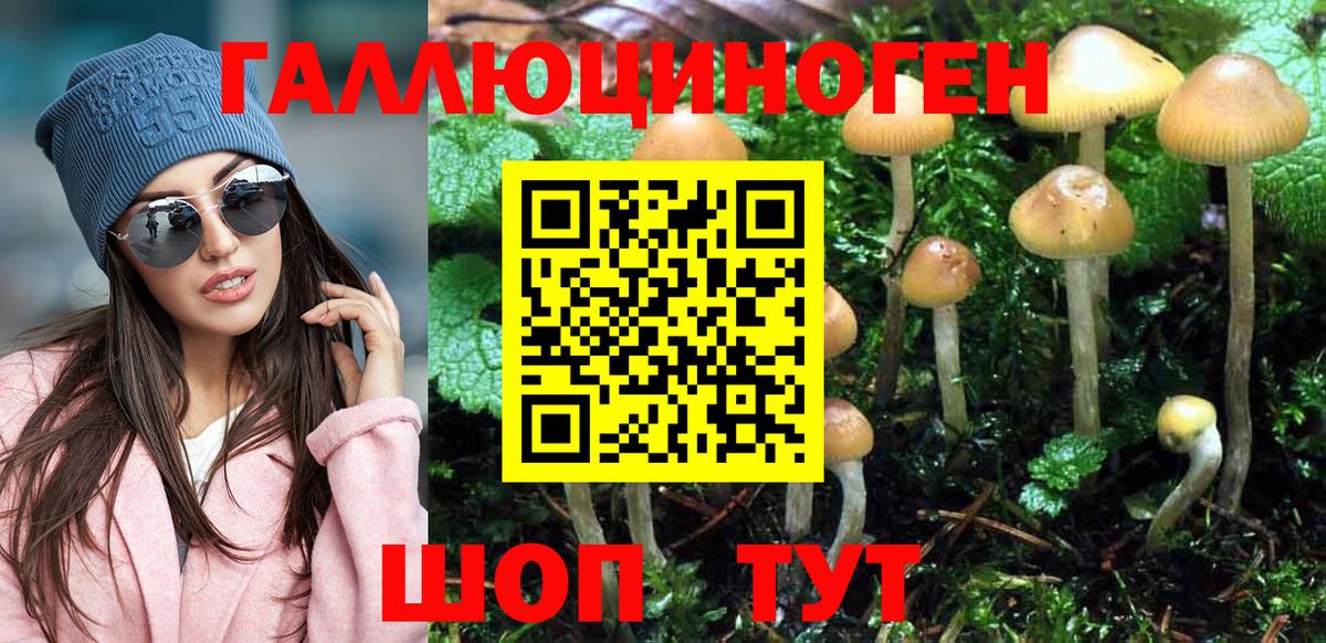 Гагарин  Псилоцибиновые грибы Psilocybine cubensis  Вход с VPN 